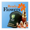 Ready Flowers