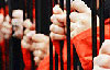 Amnesty International Australia