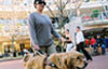 Guide Dogs NSW/ACT